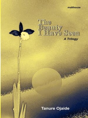 cover image of The Beauty I Have Seen